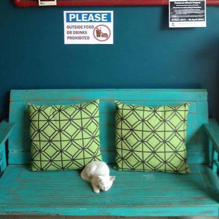 Monkey Dive Hostel Khaolak カオラック エクステリア 写真